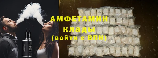 СК Алексин