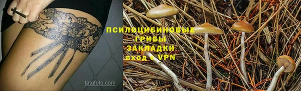 СК Алексин