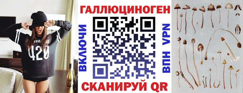 Псилоцибиновые грибы GOLDEN TEACHER Асино