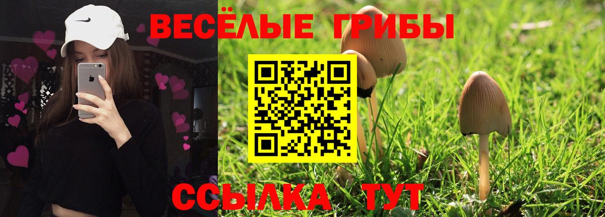 Асино  Псилоцибиновые грибы мухоморы  Вход с VPN 