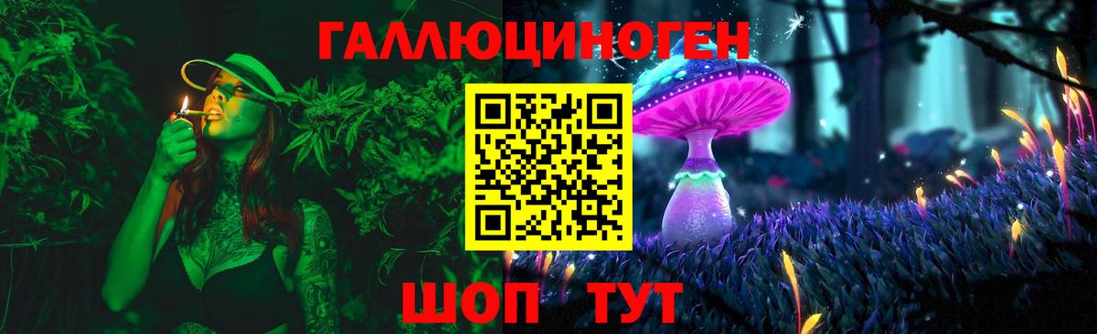 Псилоцибиновые грибы Psilocybe Асино